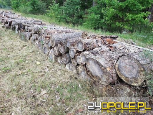 Wojsko wyprzedaje sprzęt - okazje z demobilu czekają na licytacjach AMW