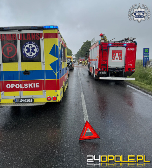 Policja szuka świadków zdarzenia drogowego na DW451