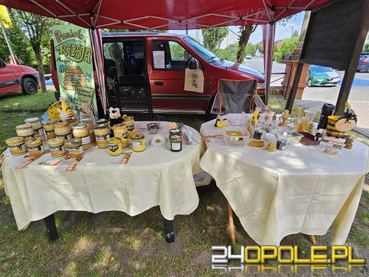 Opolski Festiwal Pszczelarski: miód, pyłek, miody smakowe i regionalne specjały