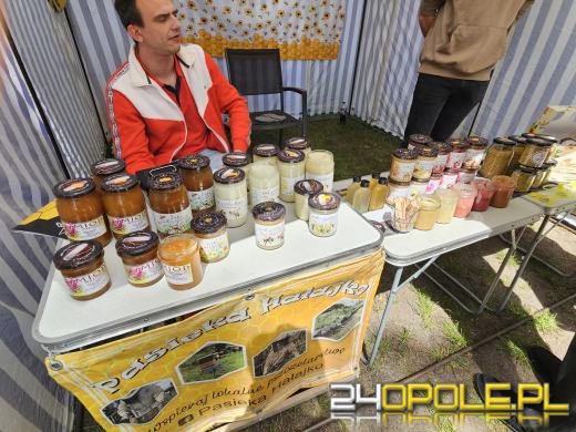 Opolski Festiwal Pszczelarski: miód, pyłek, miody smakowe i regionalne specjały