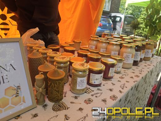 Opolski Festiwal Pszczelarski: miód, pyłek, miody smakowe i regionalne specjały