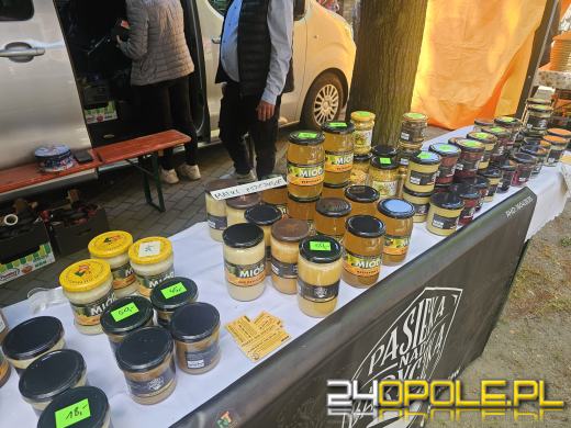 Opolski Festiwal Pszczelarski: miód, pyłek, miody smakowe i regionalne specjały