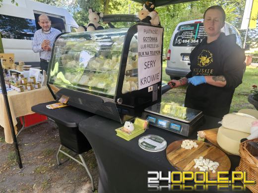 Opolski Festiwal Pszczelarski: miód, pyłek, miody smakowe i regionalne specjały