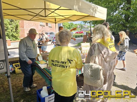 Opolski Festiwal Pszczelarski: miód, pyłek, miody smakowe i regionalne specjały