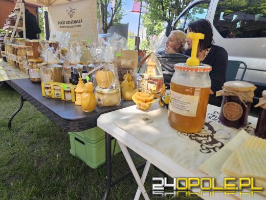 Opolski Festiwal Pszczelarski: miód, pyłek, miody smakowe i regionalne specjały