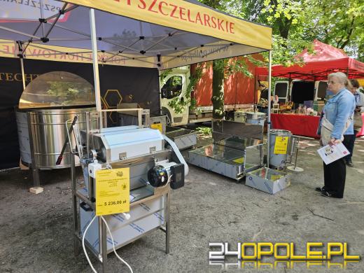 Opolski Festiwal Pszczelarski: miód, pyłek, miody smakowe i regionalne specjały