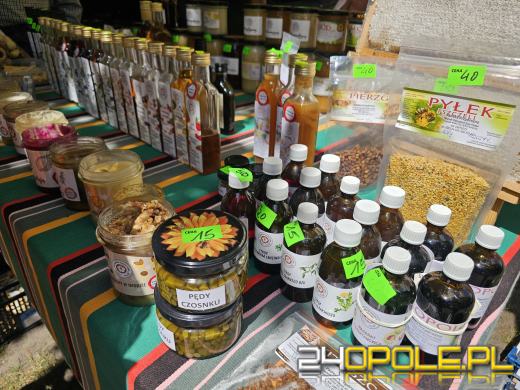 Opolski Festiwal Pszczelarski: miód, pyłek, miody smakowe i regionalne specjały