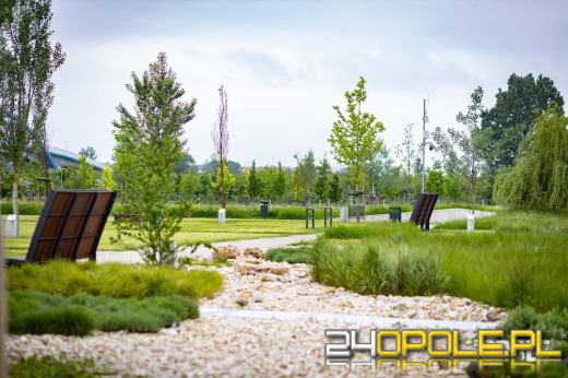 Dzień Samorządu Terytorialnego. 35-lecie wyborów demokratycznych