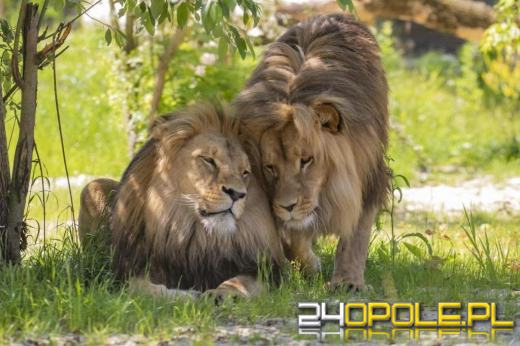 Dzień Samorządu Terytorialnego. 35-lecie wyborów demokratycznych