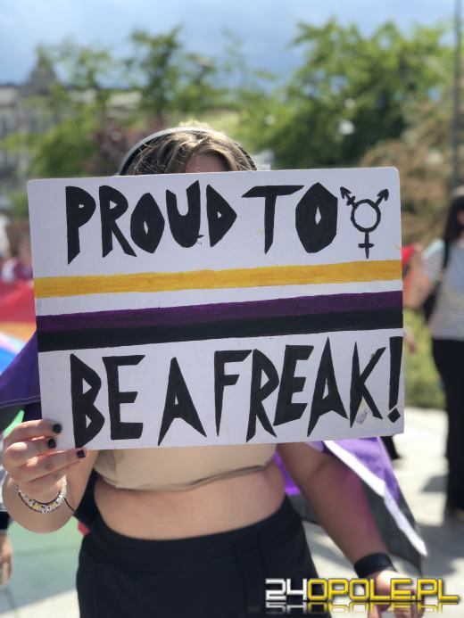 VII Marsz Równości przeszedł ulicami Opola