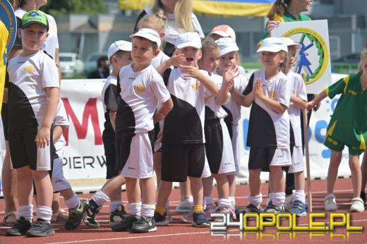 19. Opolski Festiwal Skoków za nami. Opole tłumnie kibicowało