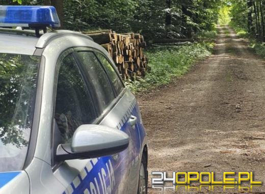 Zwłoki w lesie między Dobrzeniem Wielkim a Kup. Trwa ustalanie tożsamości zmarłego