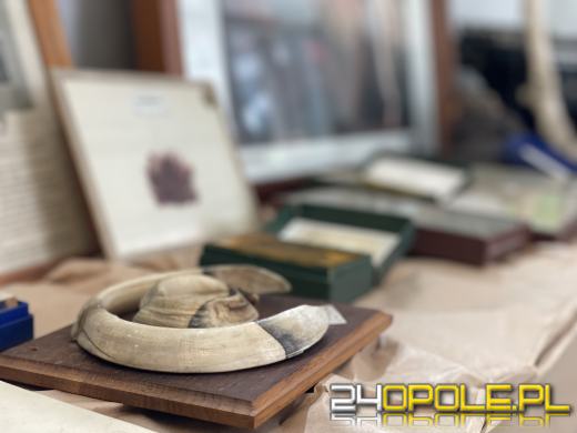 "Dwójkowy Festiwal Wspomnień i Marzeń" - obchody 80. urodzin LO II w Opolu