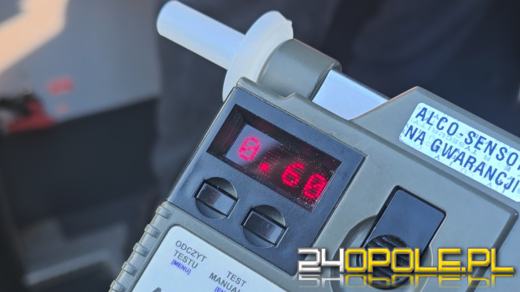 Kontrola techniczna na Opolszczyźnie. Zatrzymano 30 dowodów rejestracyjnych, jeden kierowca pijany