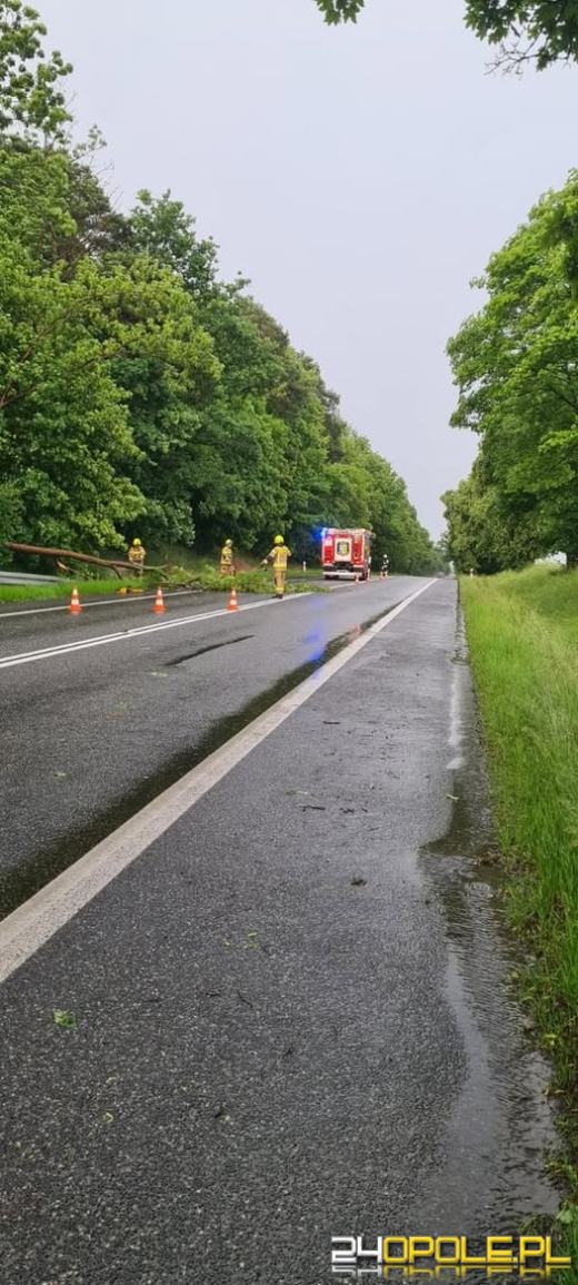 Przez Opolszczyznę przeszedł front burzowy. W Opolu poważne zdarzenie