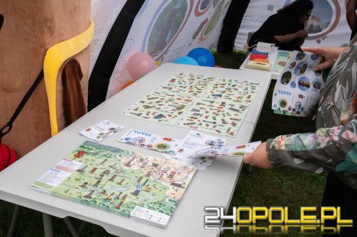 Święto Województwa Opolskiego w Mosznej. Nagrody, smaki i muzyka