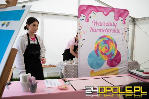 Święto Województwa Opolskiego w Mosznej. Nagrody, smaki i muzyka