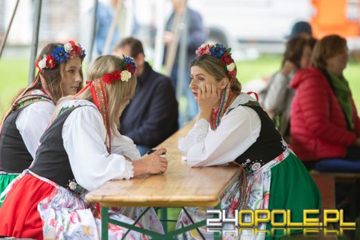 Święto Województwa Opolskiego w Mosznej. Nagrody, smaki i muzyka