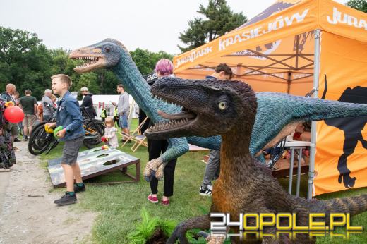 Święto Województwa Opolskiego w Mosznej. Nagrody, smaki i muzyka