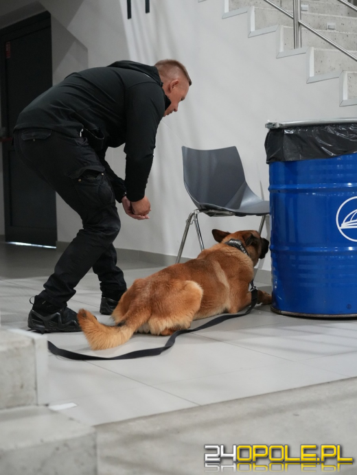 Pancer w akcji: Bomba i narkotyki na Stegu Arenie. Szkolenie policyjnych psów