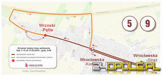Zmiana trasy autobusów linii 5 i 9. Utrudnienia w Wrzoskach od piątku