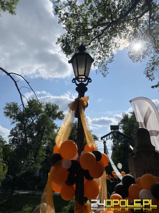 "Ptasia budka" w ramach 62. KFPP oficjalnie odsłonięta