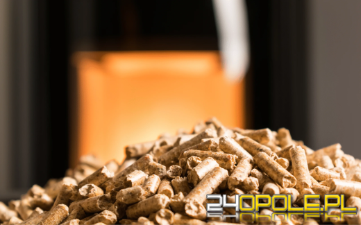Jaki kocioł na pellet sprawdzi się w twoim przypadku - na co zwrócić uwagę?