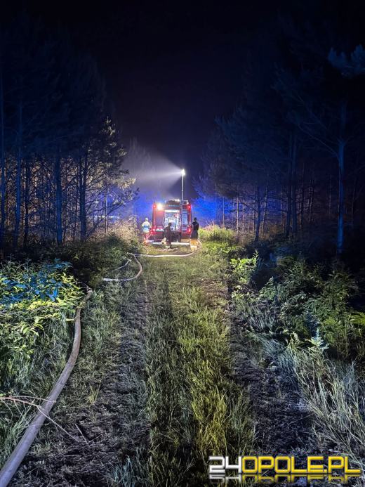 Strażacy walczyli z ogniem przez kilka godzin, wspierał ich śmigłowiec