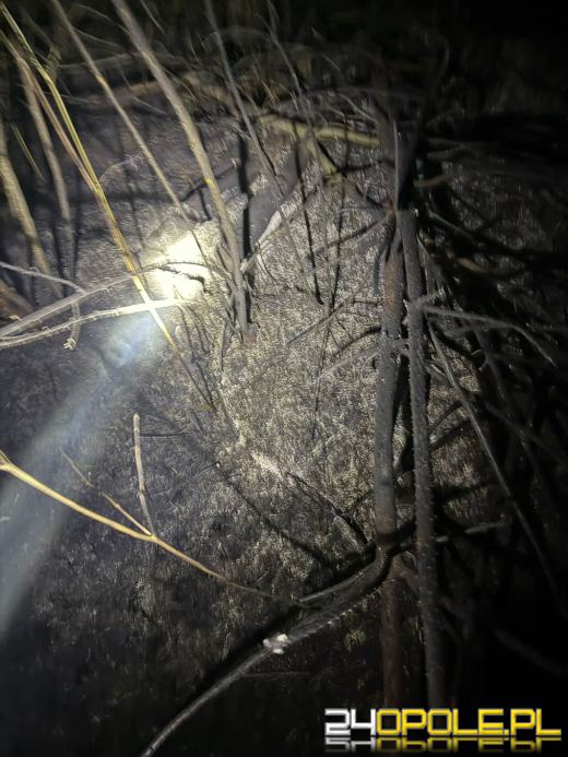 Strażacy walczyli z ogniem przez kilka godzin, wspierał ich śmigłowiec