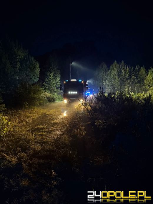 Strażacy walczyli z ogniem przez kilka godzin, wspierał ich śmigłowiec