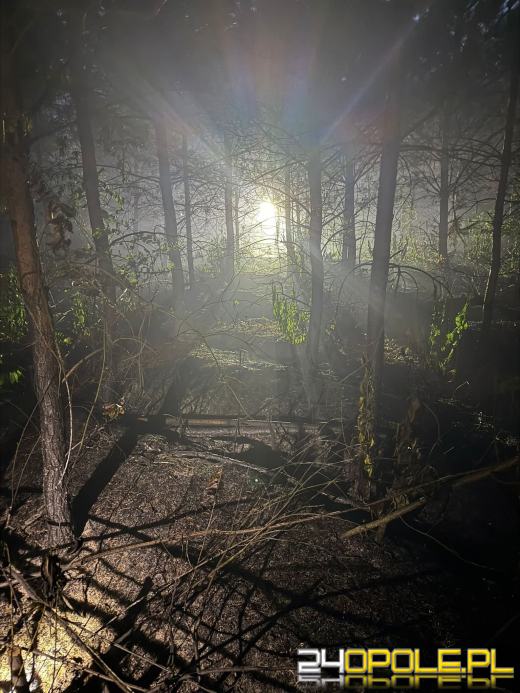 Strażacy walczyli z ogniem przez kilka godzin, wspierał ich śmigłowiec