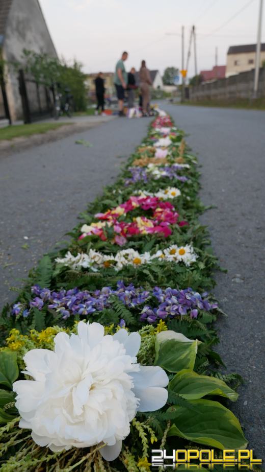 Kwietne dywany w powiecie strzeleckim. Tradycja Bożego Ciała zachwyca i łączy pokolenia