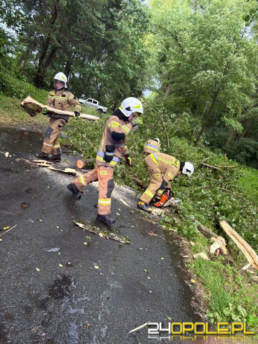 Ponad 230 zgłoszeń do straży po burzach (Aktualizacja)