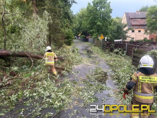 Ponad 230 zgłoszeń do straży po burzach (Aktualizacja)