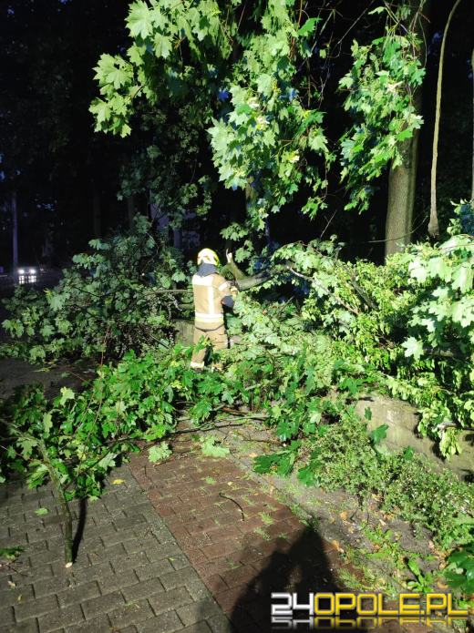 Ponad 230 zgłoszeń do straży po burzach (Aktualizacja)