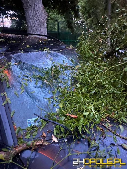 Ponad 230 zgłoszeń do straży po burzach (Aktualizacja)