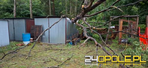 Bilans burzowej nocy na Opolszczyźnie: najwięcej interwencji w powiecie opolskim