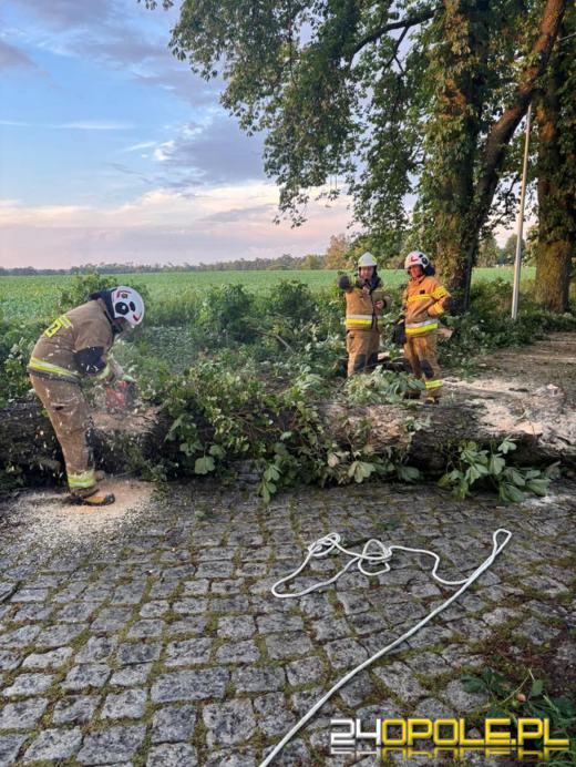 Bilans burzowej nocy na Opolszczyźnie: najwięcej interwencji w powiecie opolskim