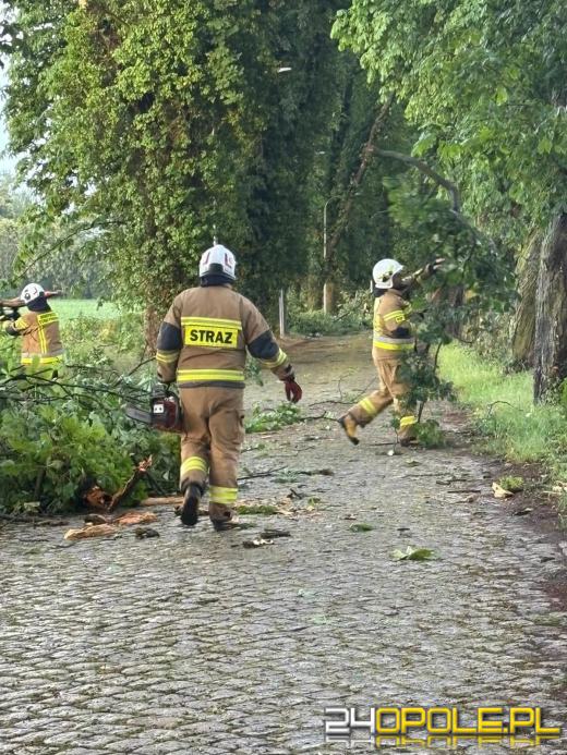Bilans burzowej nocy na Opolszczyźnie: najwięcej interwencji w powiecie opolskim