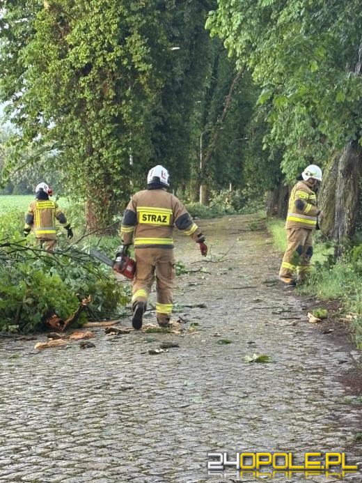 Bilans burzowej nocy na Opolszczyźnie: najwięcej interwencji w powiecie opolskim