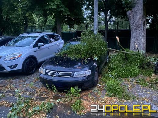 Bilans burzowej nocy na Opolszczyźnie: najwięcej interwencji w powiecie opolskim