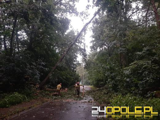 Bilans burzowej nocy na Opolszczyźnie: najwięcej interwencji w powiecie opolskim