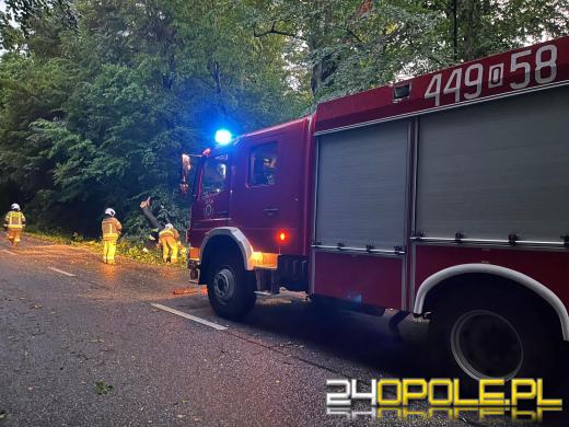 Bilans burzowej nocy na Opolszczyźnie: najwięcej interwencji w powiecie opolskim
