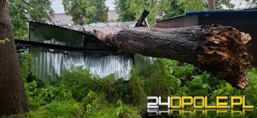 Bilans burzowej nocy na Opolszczyźnie: najwięcej interwencji w powiecie opolskim