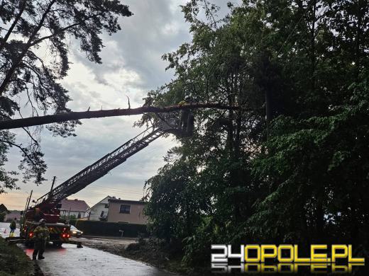 Bilans burzowej nocy na Opolszczyźnie: najwięcej interwencji w powiecie opolskim