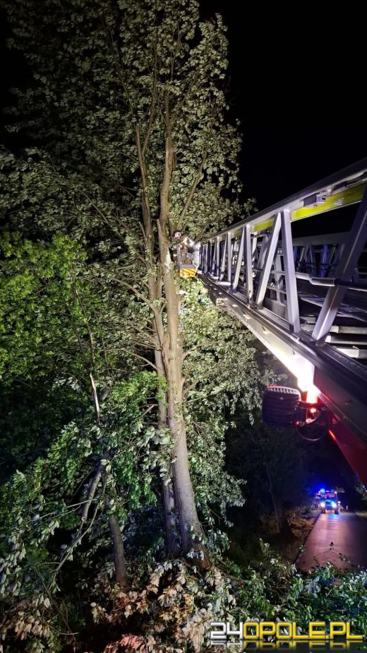 Bilans burzowej nocy na Opolszczyźnie: najwięcej interwencji w powiecie opolskim