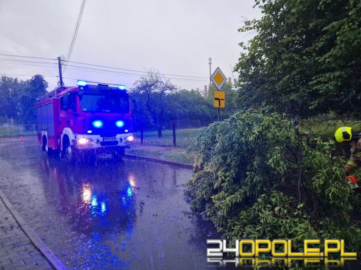 Bilans burzowej nocy na Opolszczyźnie: najwięcej interwencji w powiecie opolskim