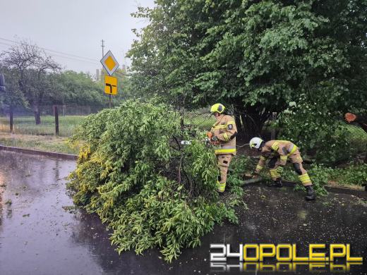 Bilans burzowej nocy na Opolszczyźnie: najwięcej interwencji w powiecie opolskim