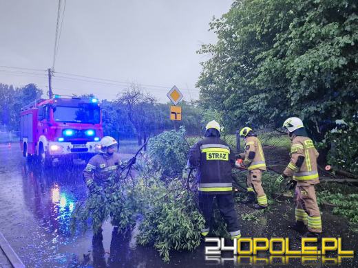 Bilans burzowej nocy na Opolszczyźnie: najwięcej interwencji w powiecie opolskim