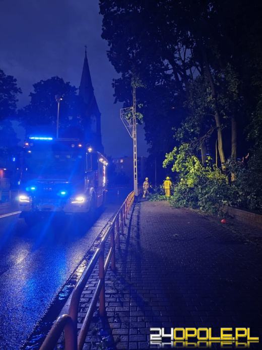 Bilans burzowej nocy na Opolszczyźnie: najwięcej interwencji w powiecie opolskim